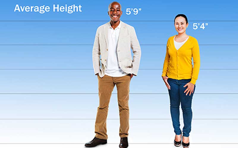 Amazon height comparison pictures