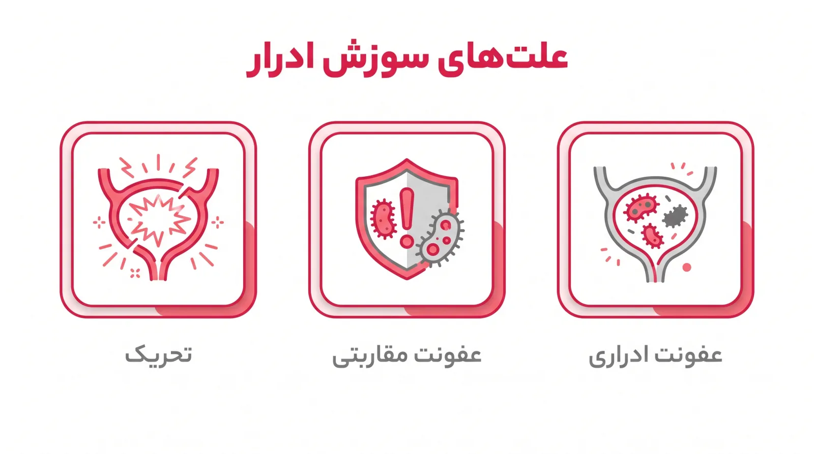 اینفوگرافیک علتهای سوزش ادرار: عفونت ادراری، عفونت مقاربتی، تحریک و التهاب