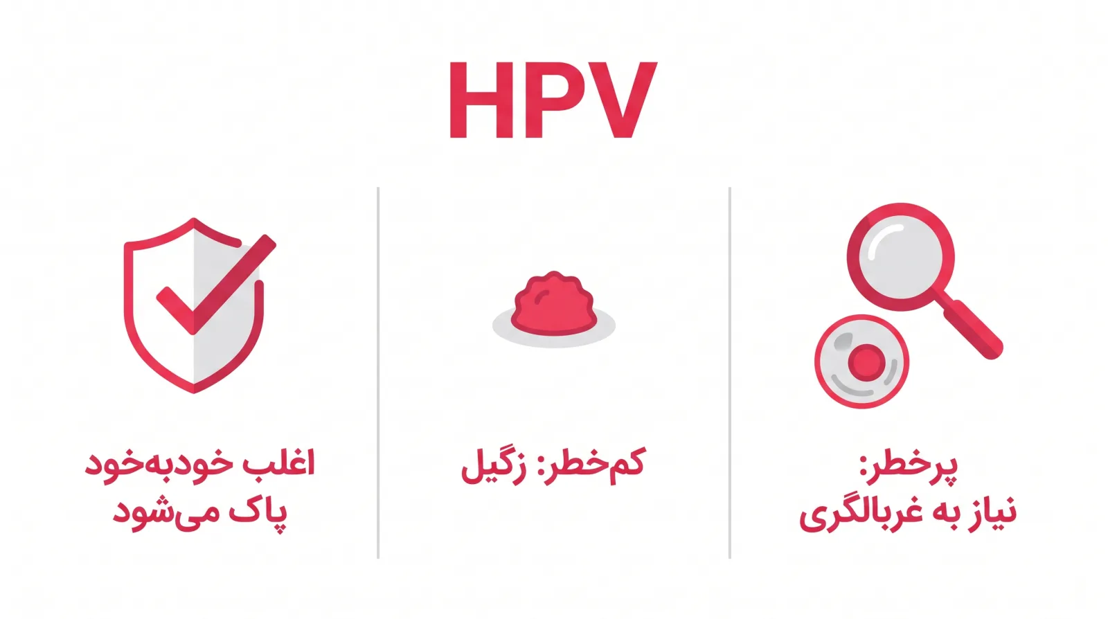 اینفوگرافیک: بیشتر عفونت‌های HPV خودبه‌خود پاک می‌شوند؛ انواع کم‌خطر و پرخطر