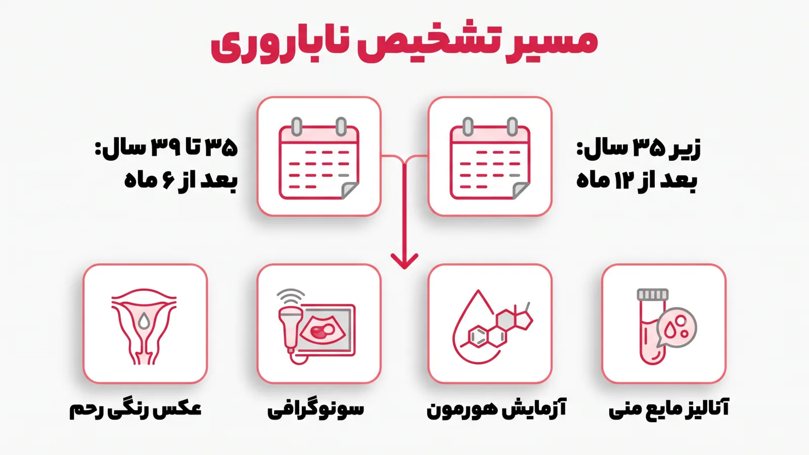 اینفوگرافیک مسیر تشخیص ناباروری: زیر ۳۵ سال پس از ۱۲ ماه تلاش، ۳۵ تا ۳۹ سال پس از ۶ ماه، آنالیز مایع منی، آزمایش خون هورمون، سونوگرافی، عکس رنگی رحم و لولهها