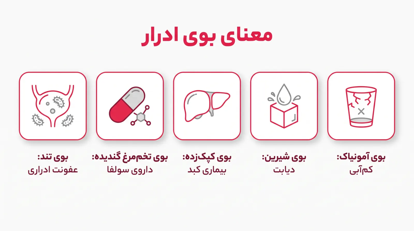 اینفوگرافیک معنای بوی ادرار: بوی آمونیاک و کمآبی، بوی شیرین و دیابت، بوی کپکزده و بیماری کبد، بوی تخممرغ گندیده و آنتیبیوتیک سولفا، بوی تند و عفونت ادراری