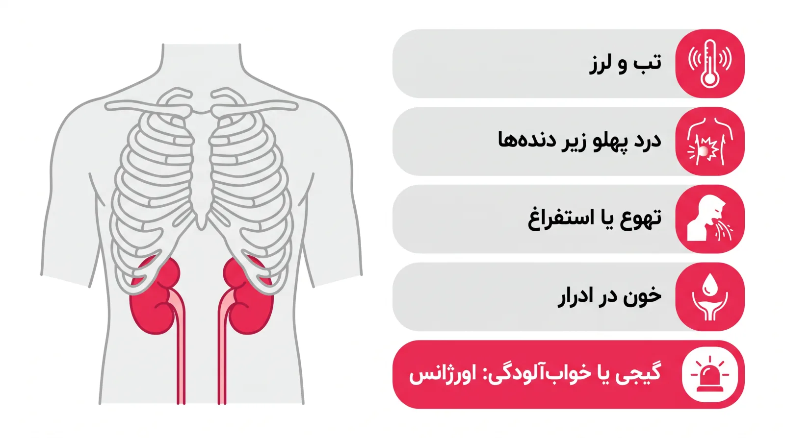 اینفوگرافیک علائم هشدار عفونت کلیه: تب و لرز، درد پهلو، تهوع و خون در ادرار