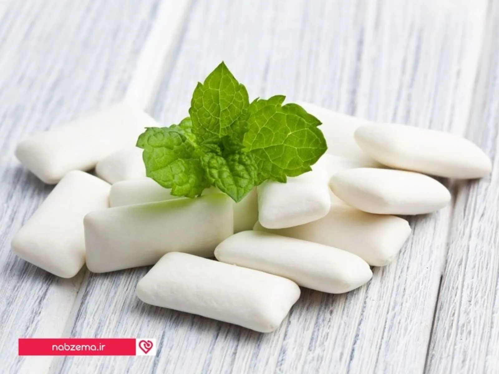 14609863-the-mint-leaves-and-the-chewing-gum