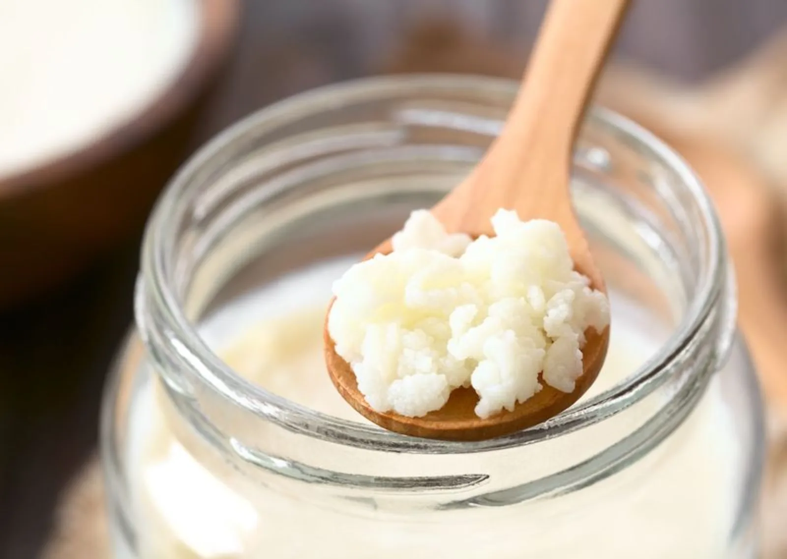 مواد غذایی حاوی پروبیوتیک