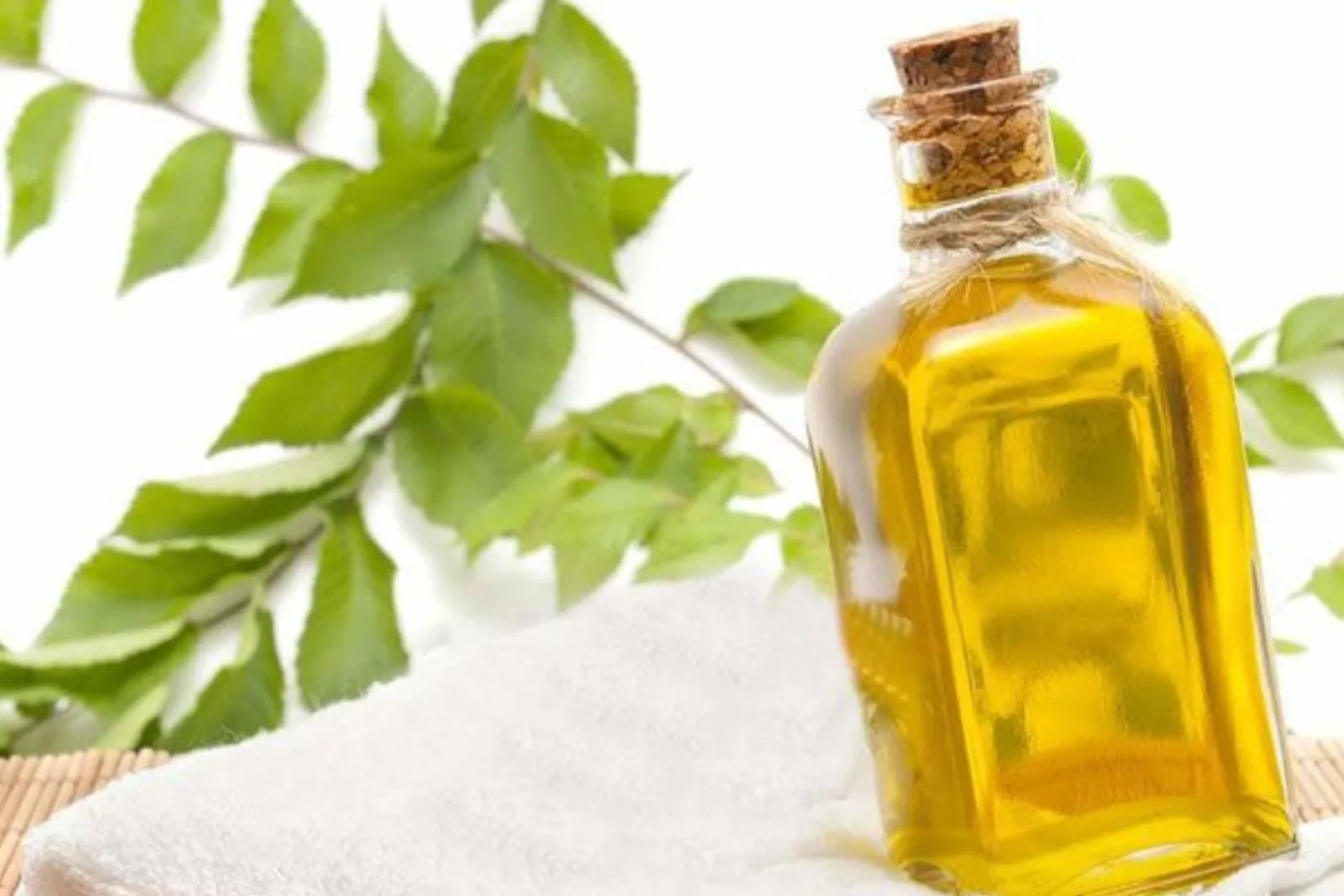 روغن کرچک برای لاغری