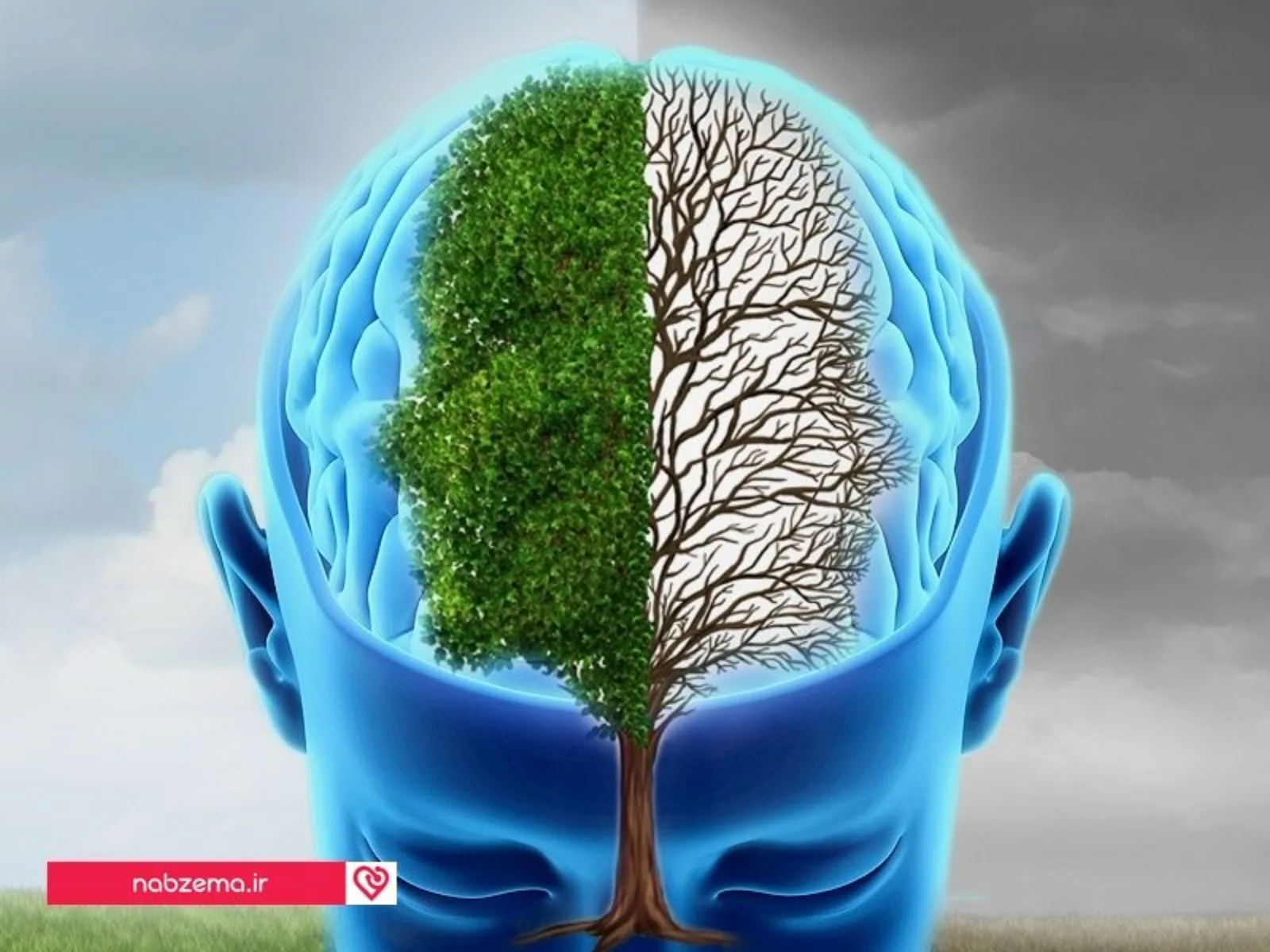 dt_141003_brain_bipolar_800x600