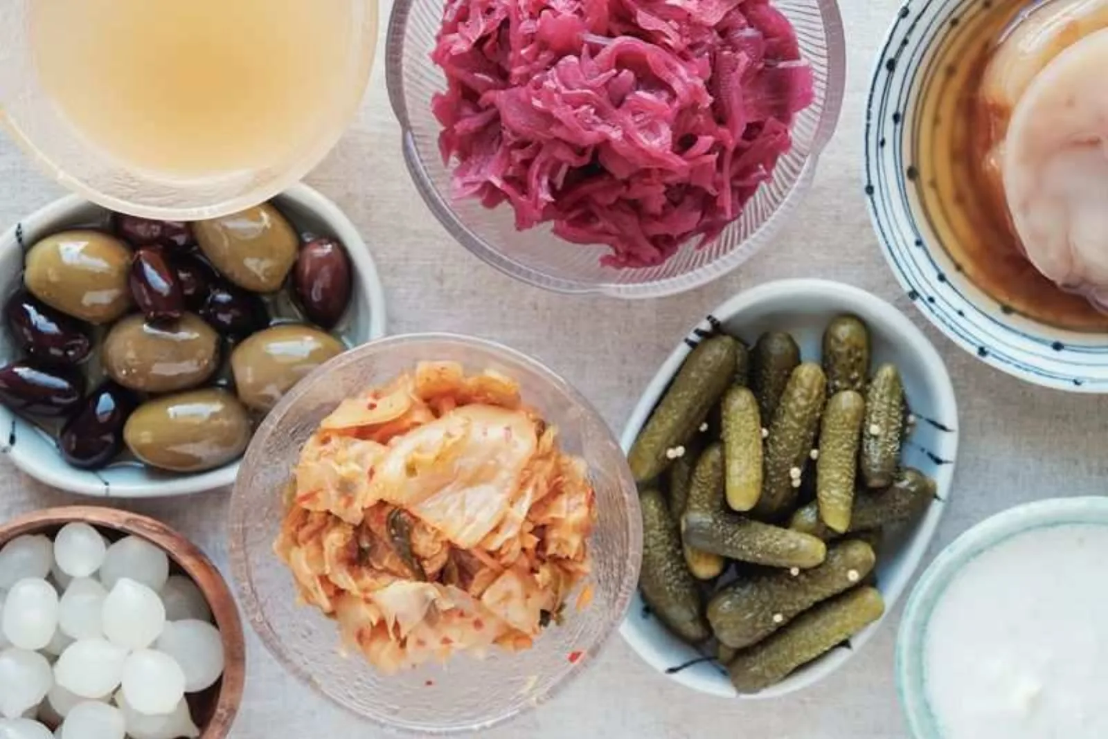 خوراکی های حاوی پروبیوتیک ها