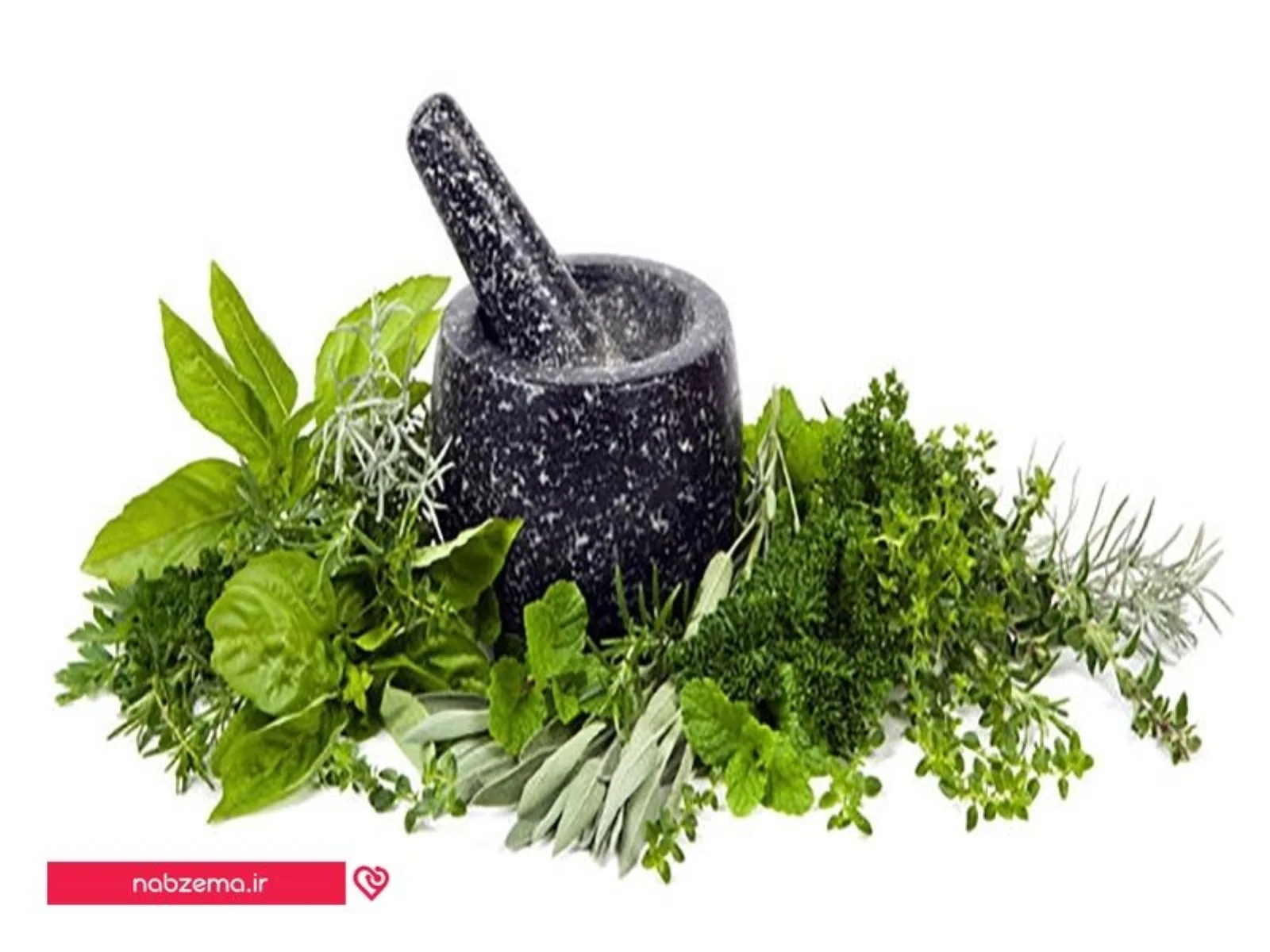 سبزیجات معطر