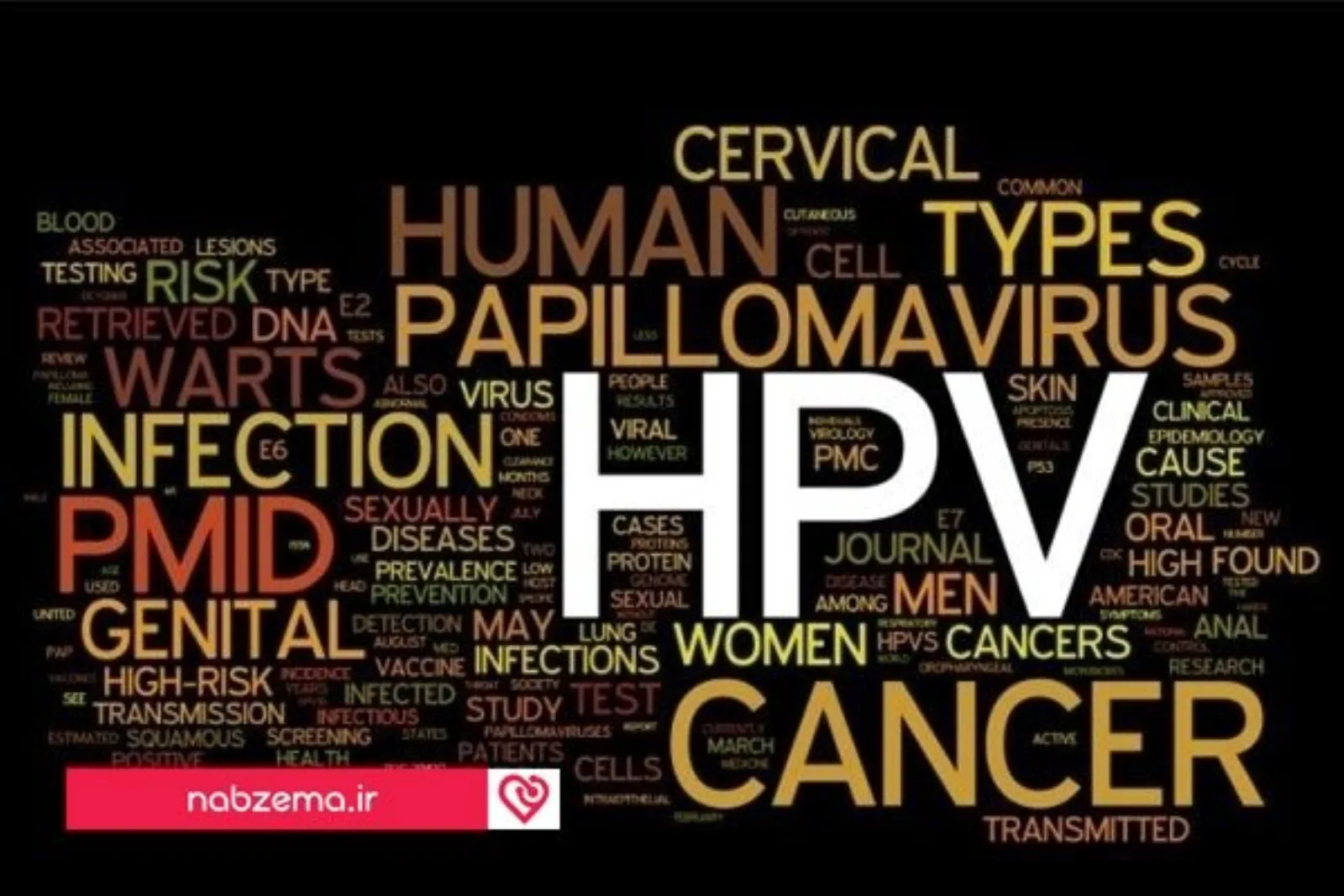 HPV