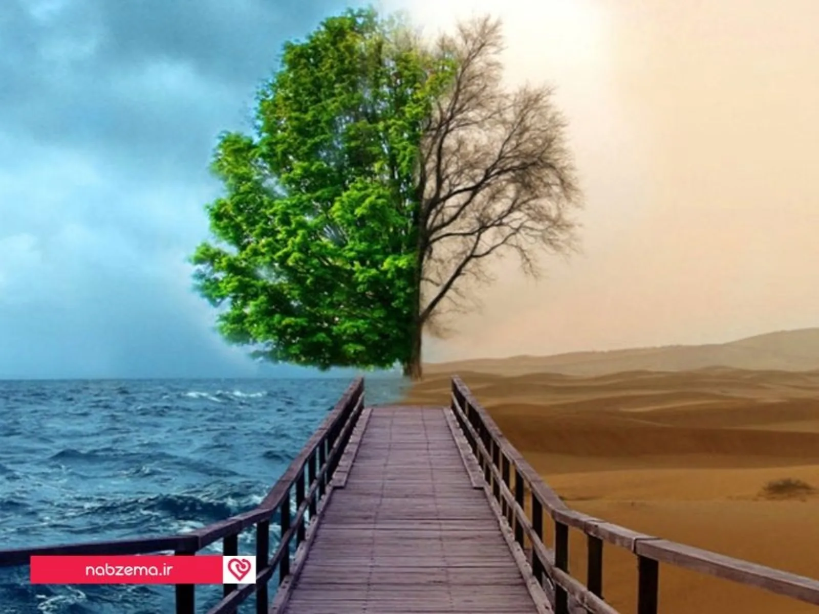 اختلال دو قطبی