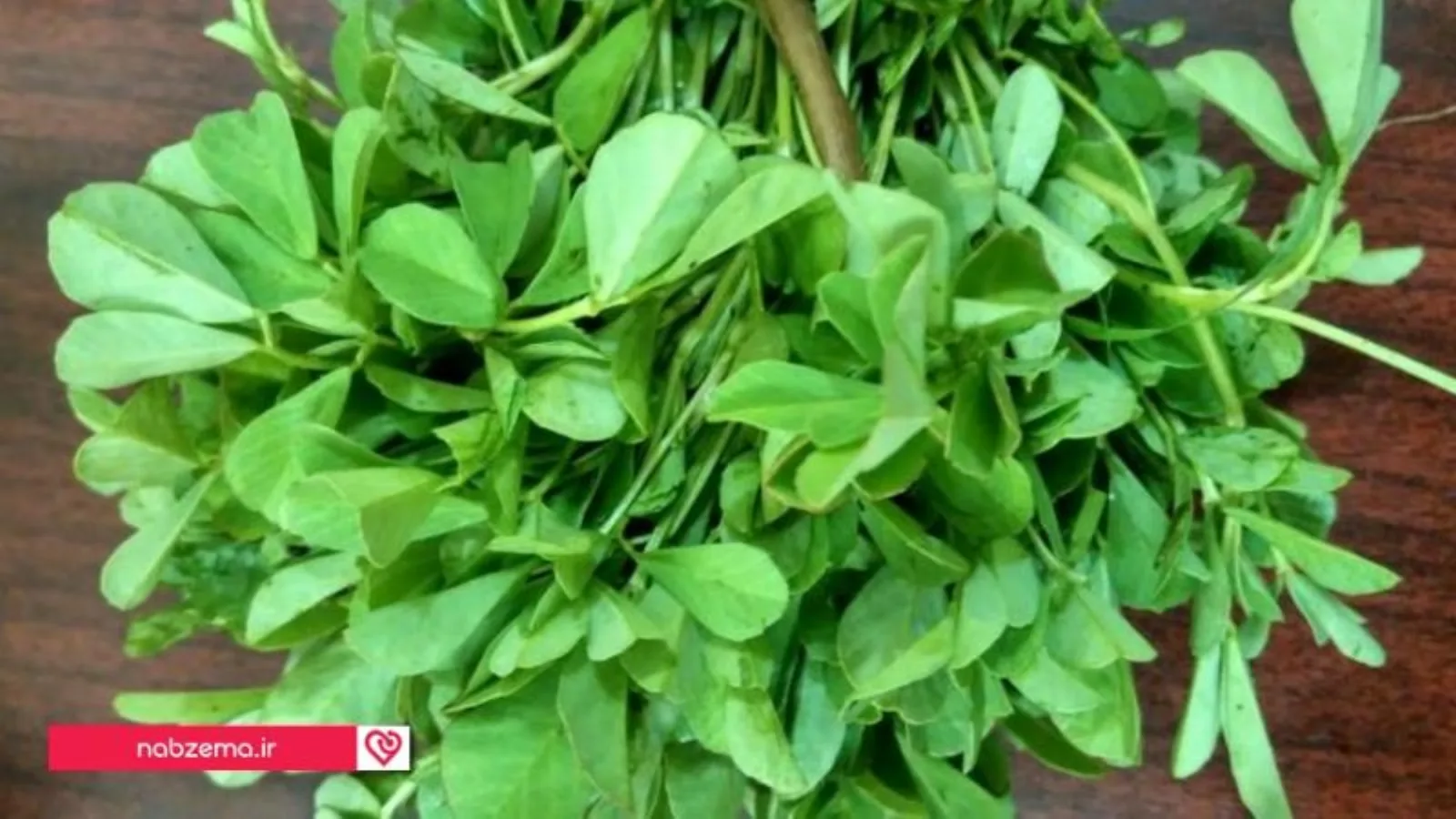 عکس شنبلیله