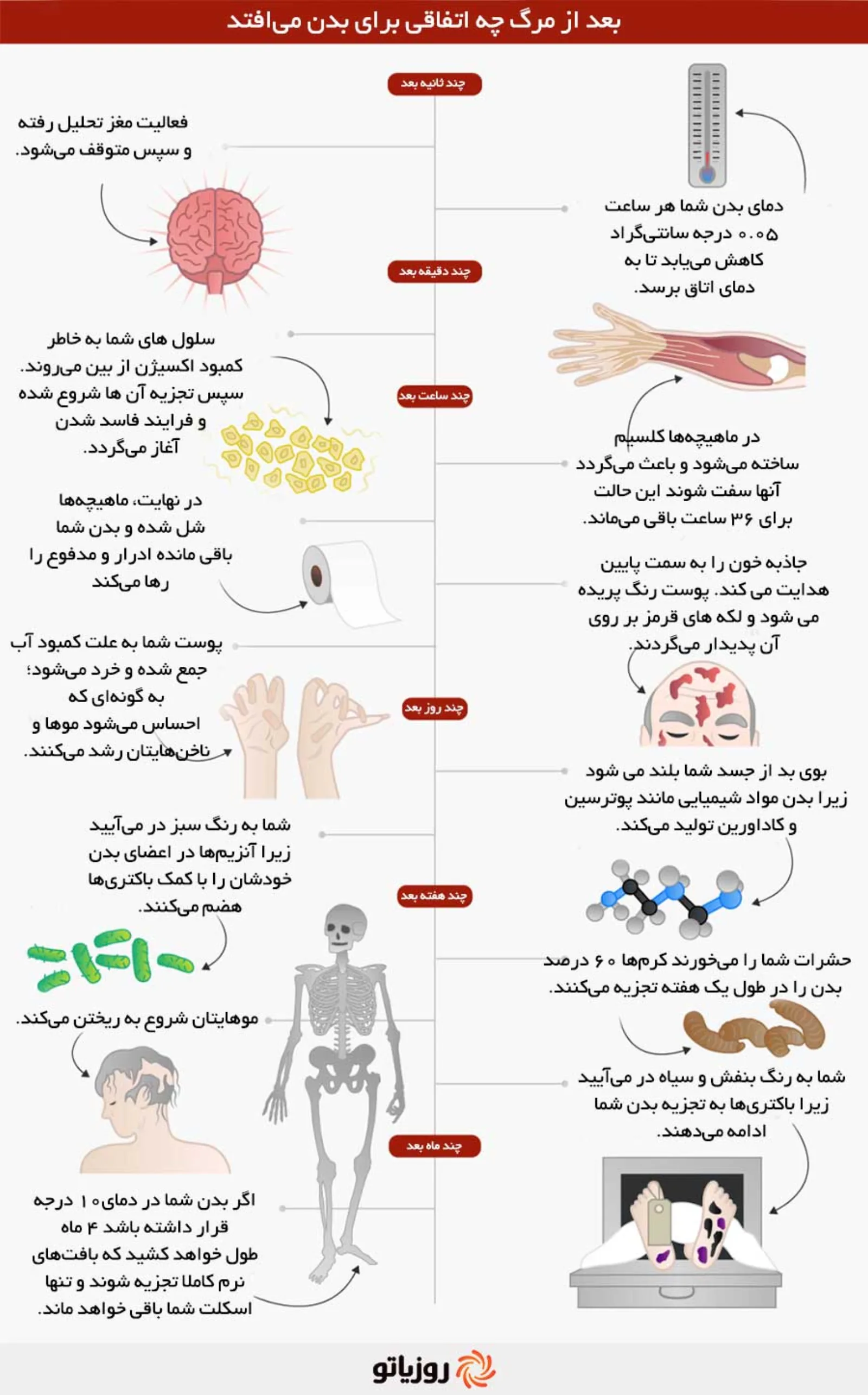 اتفاقات بعد از مرگ