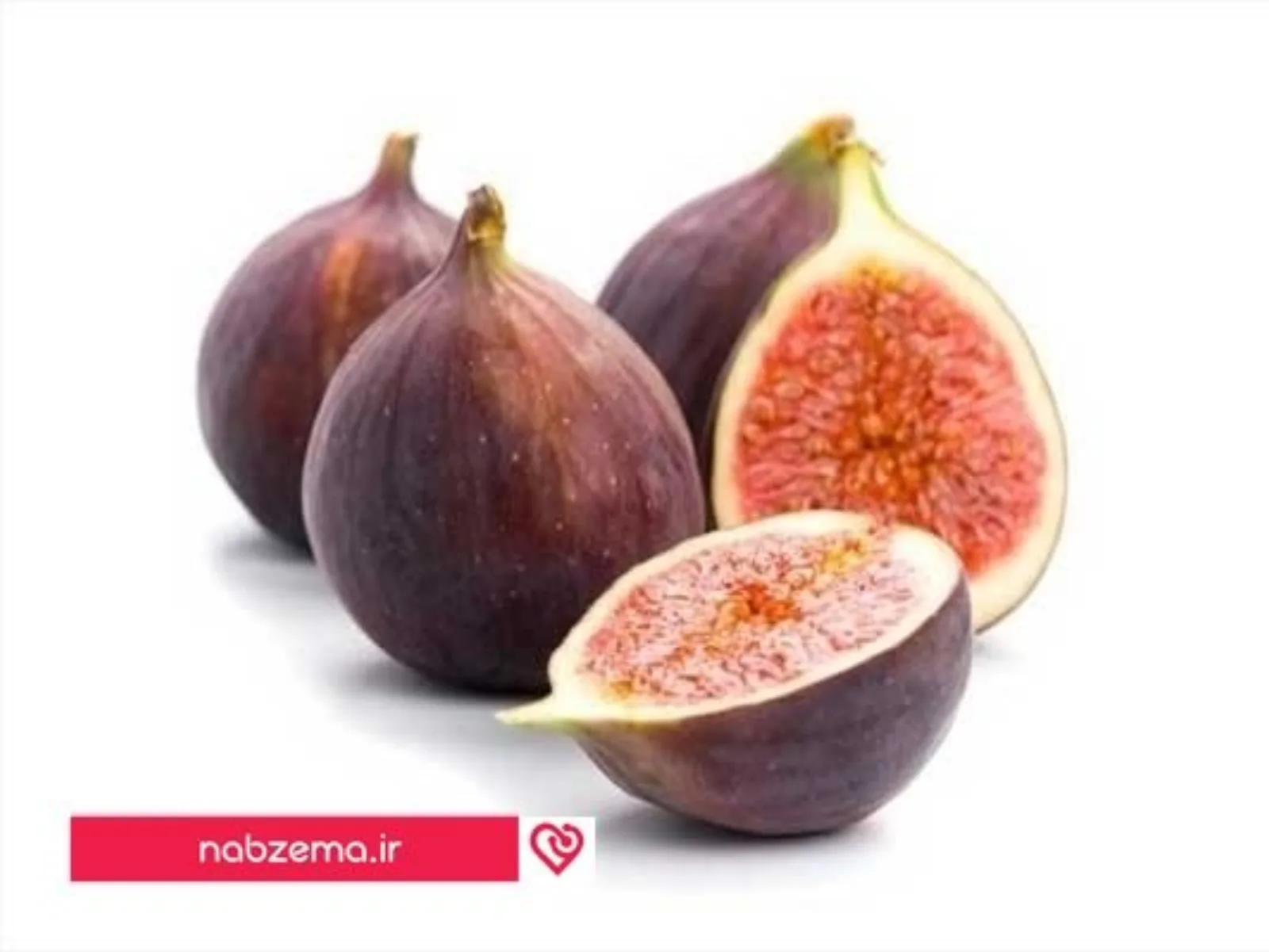 انجیر