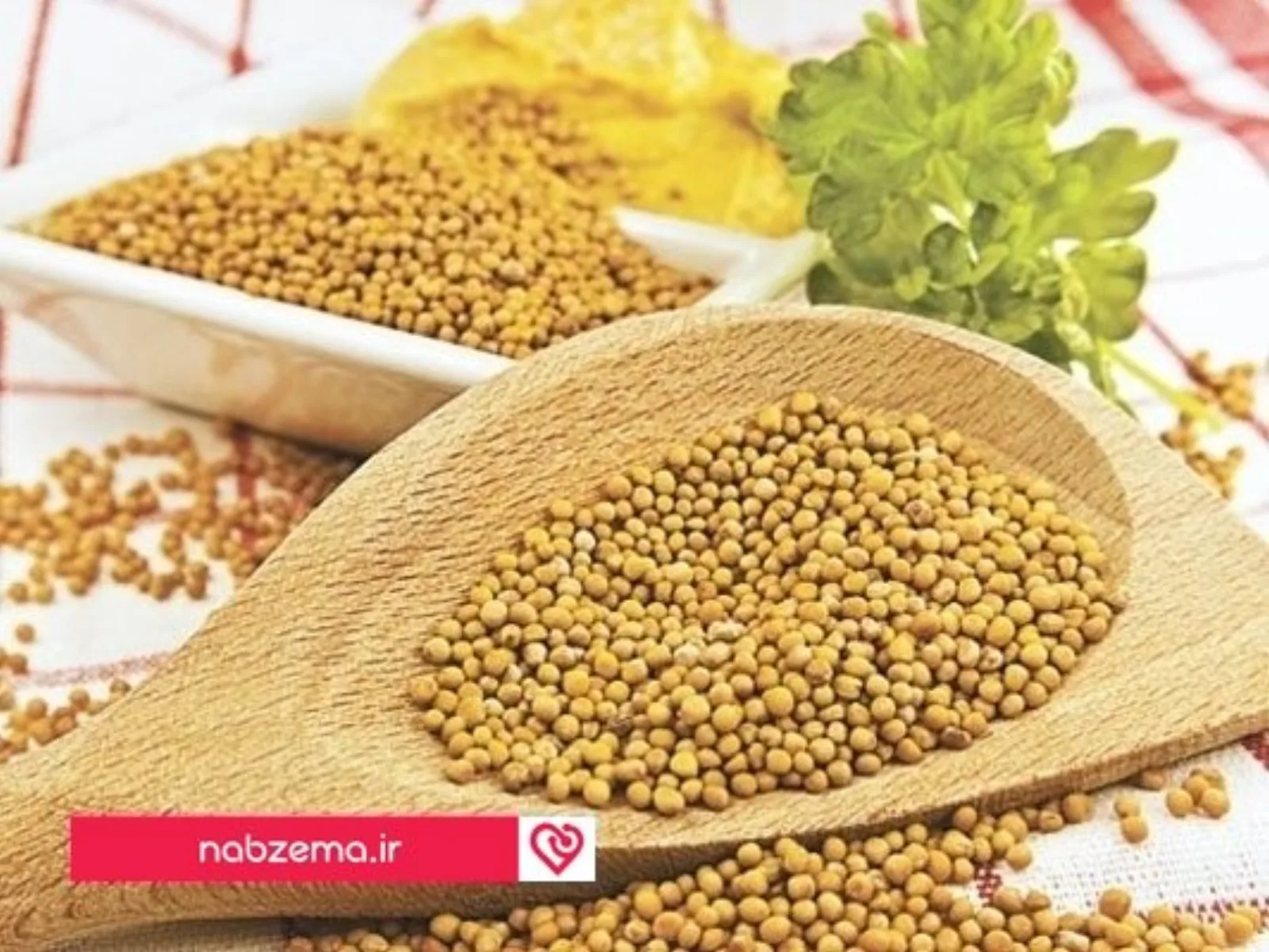 خواص خردل