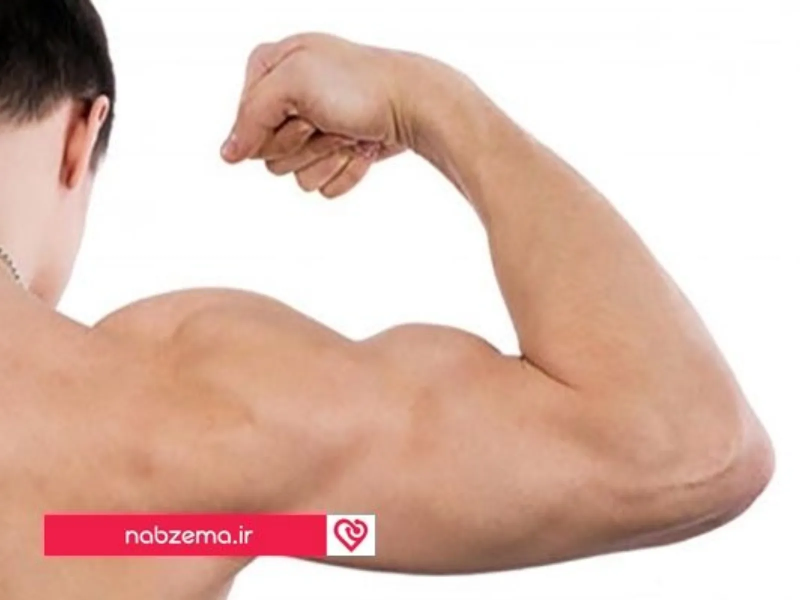 رشد عضلات بازو