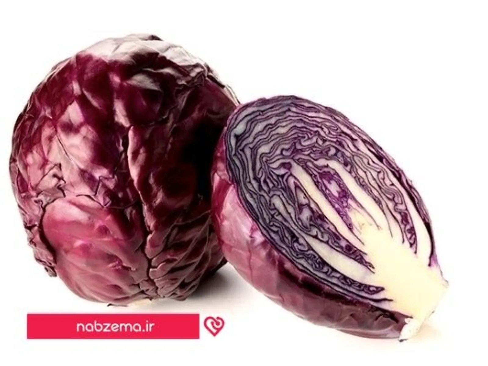 کلم بنفش