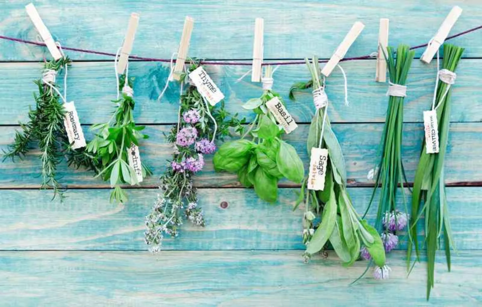 داروی گیاهی برای چاق شدن پایین تنه