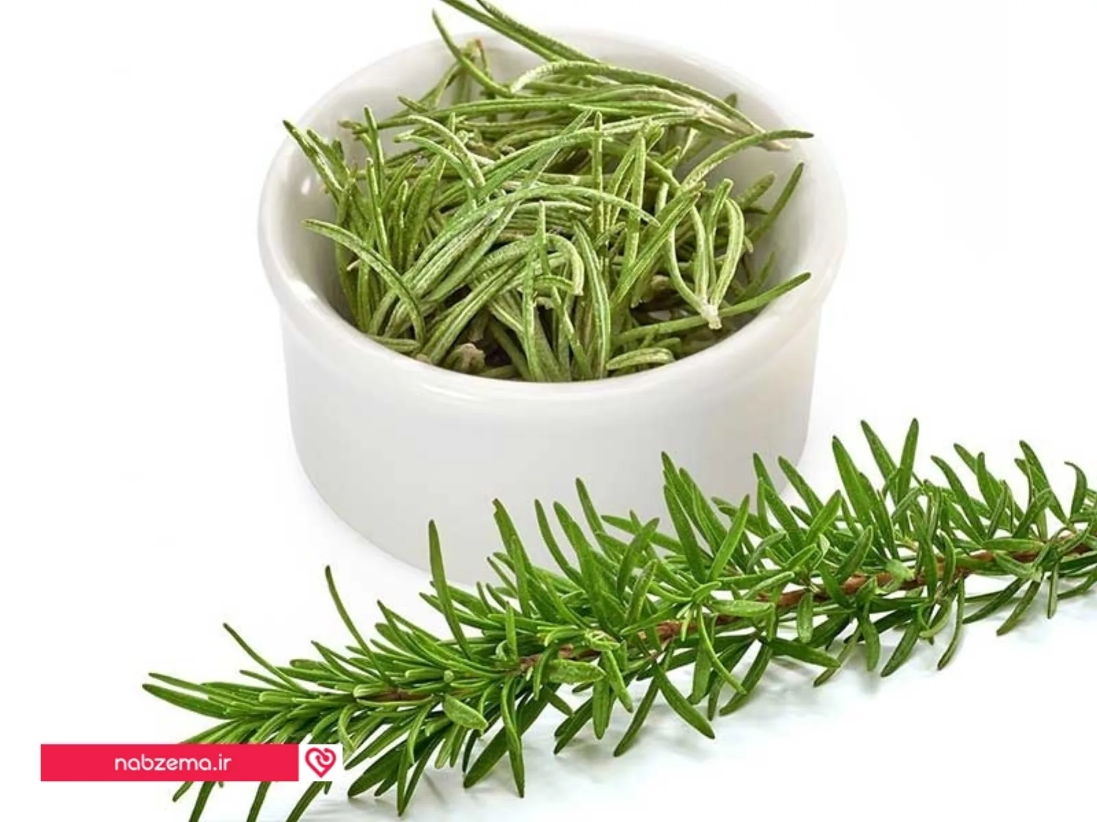 روغن رزماری برای ضخامت مو