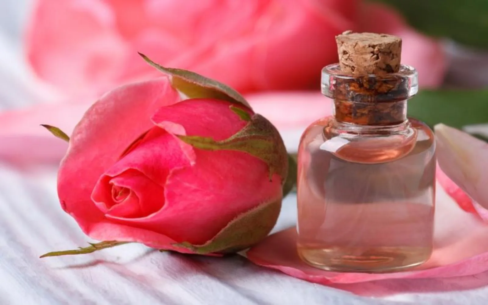 گلاب برای درمان گودی زیر چشم