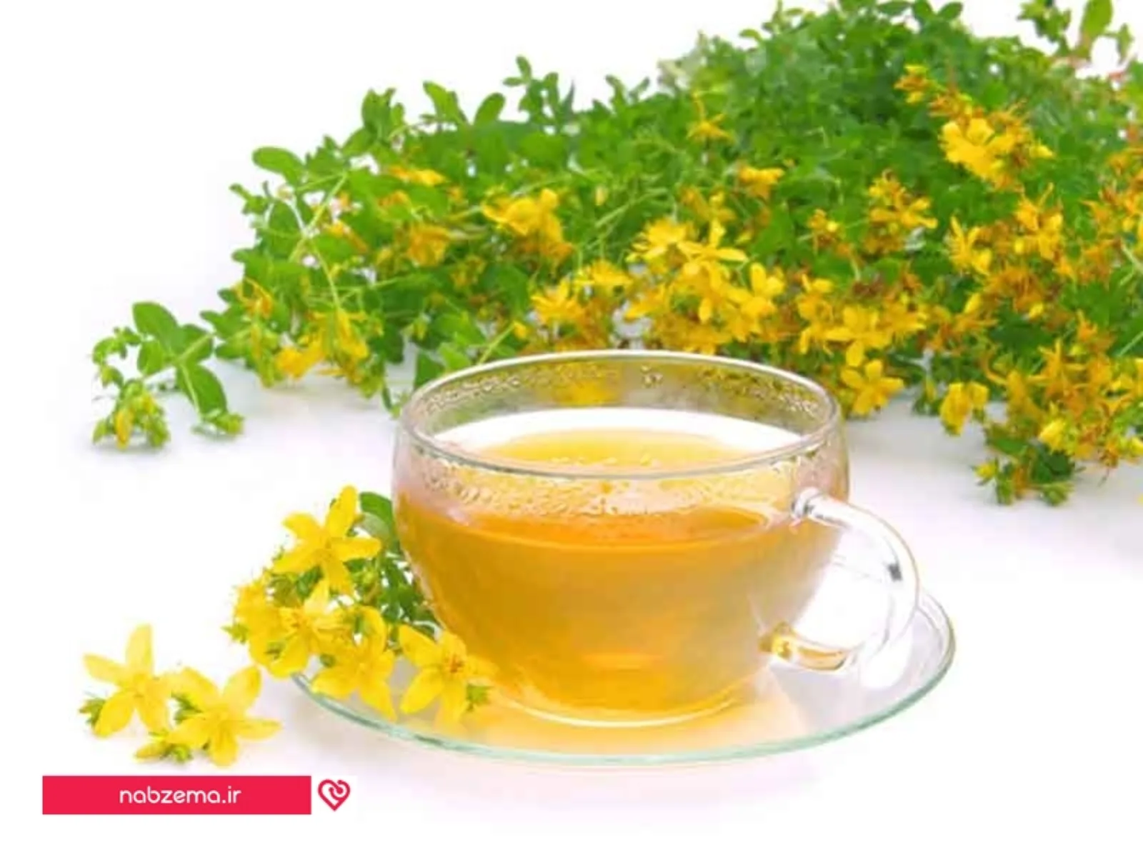 عکس چای سنا