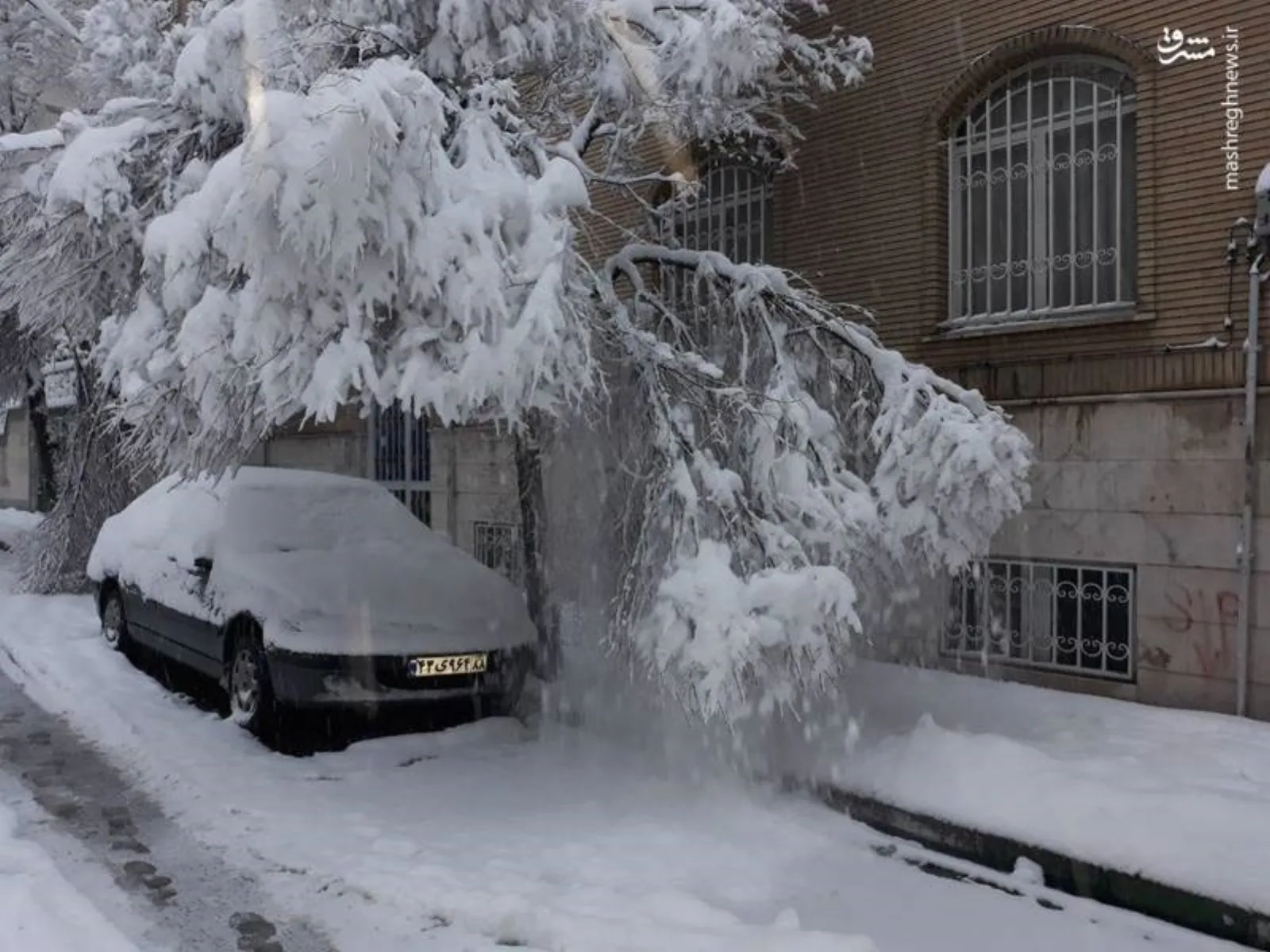 برف در تهران