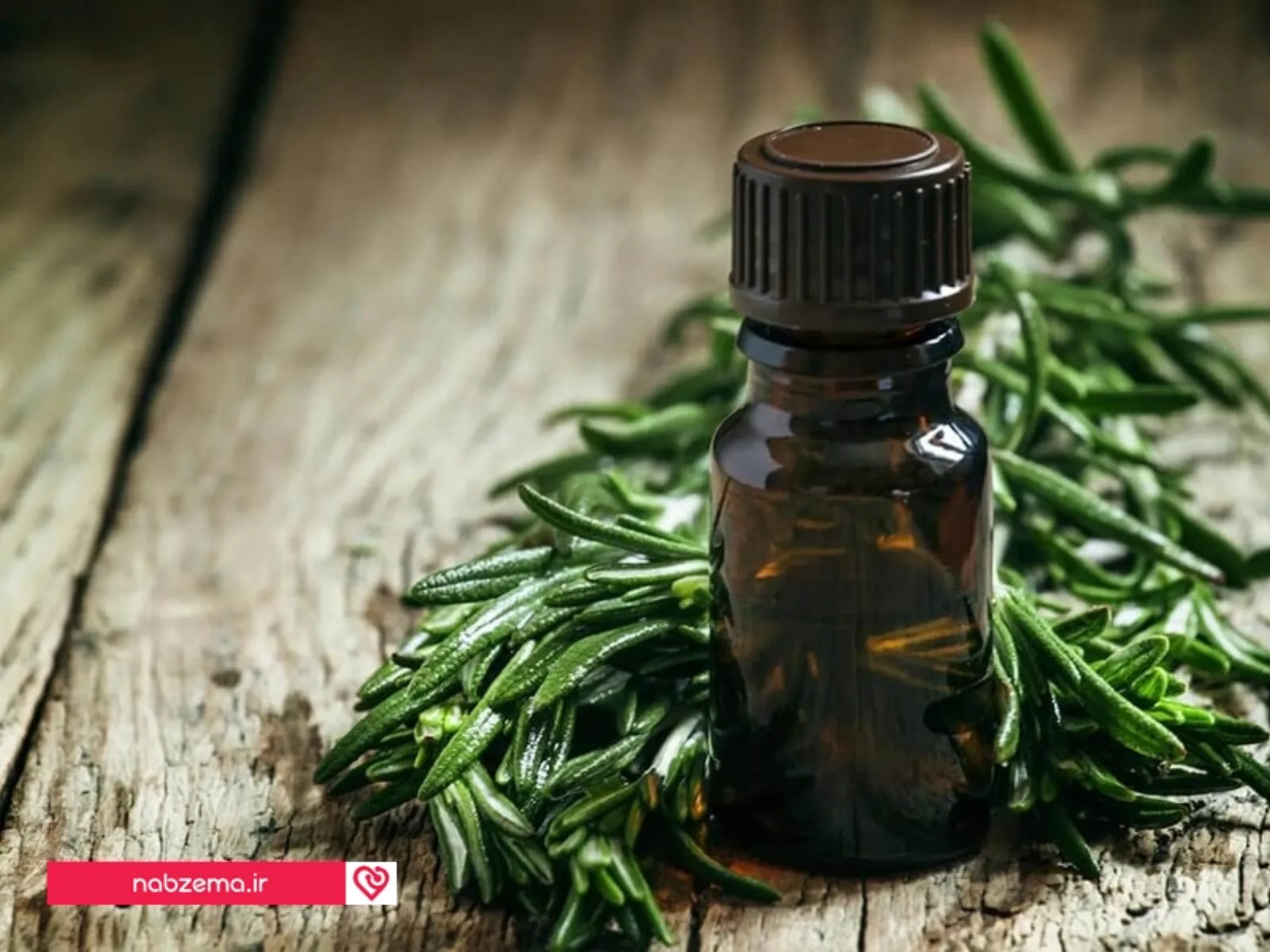 روغن چای