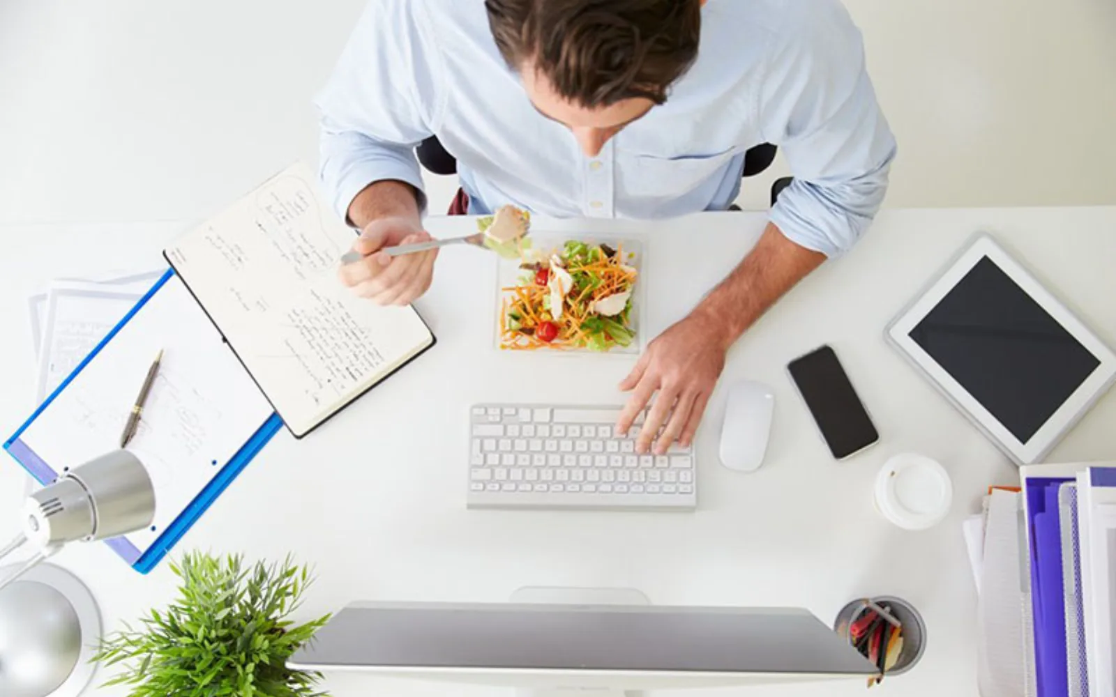 غذاهای مناسب برای سرکار