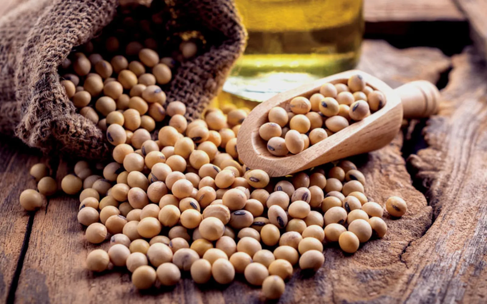 روغن سویا