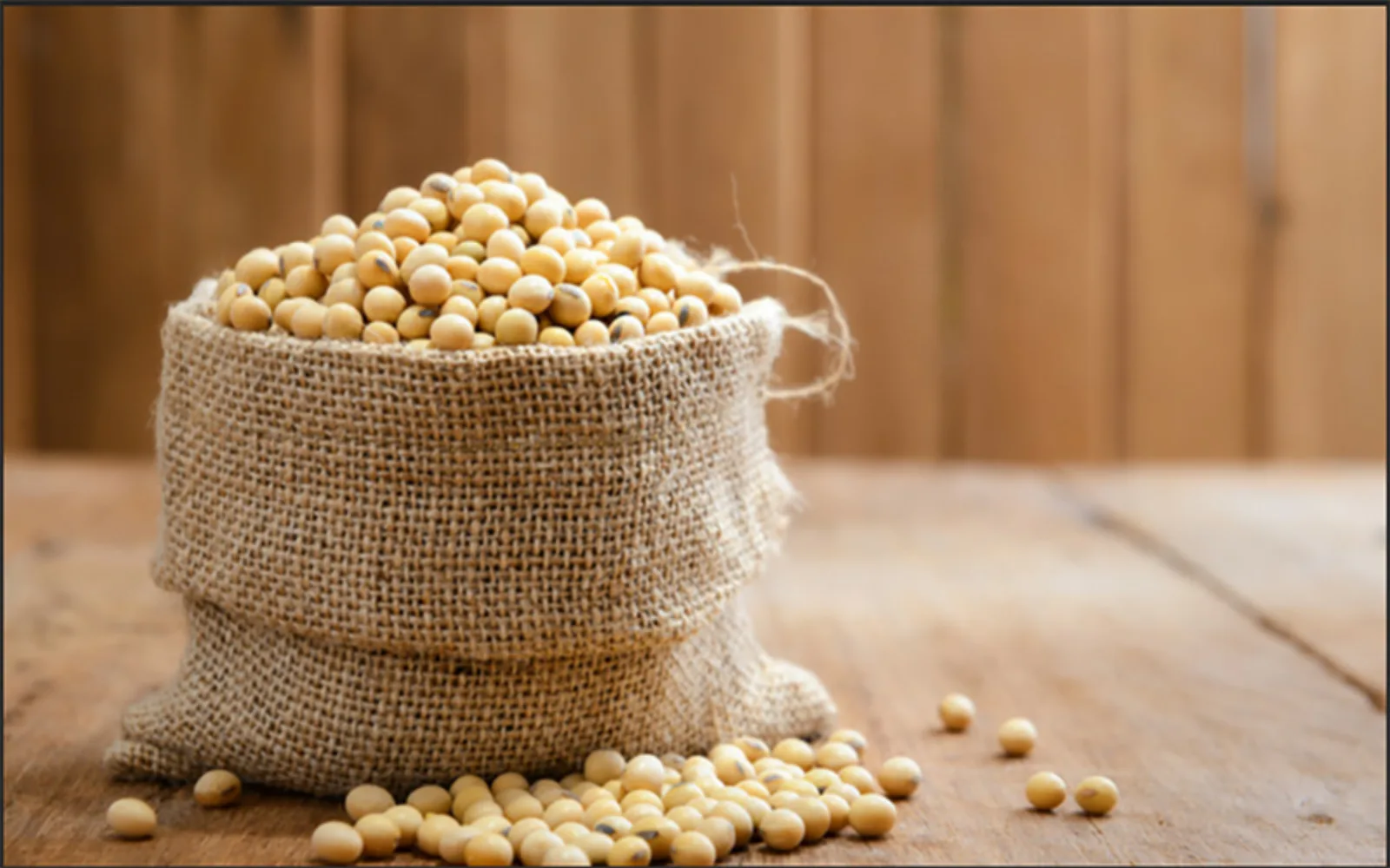 روغن سویا