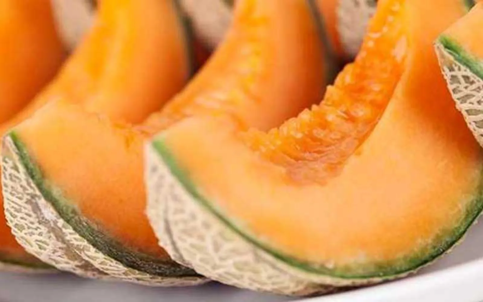 خربزه و طالبی