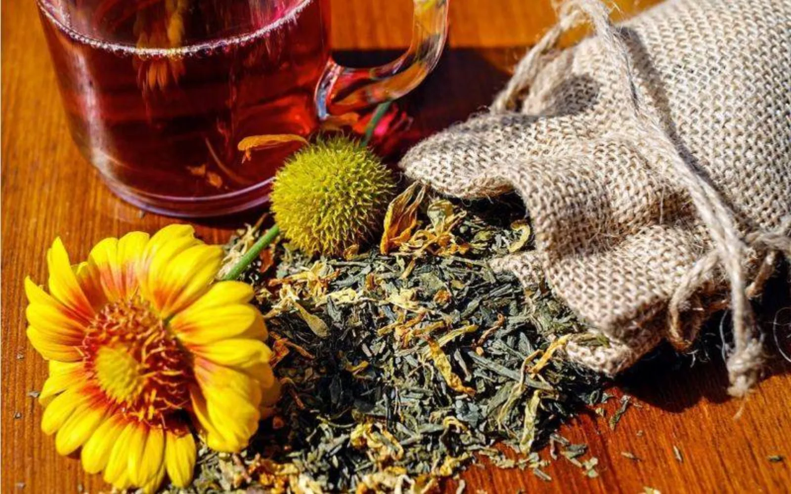 سفت شدن کمر با داروی گیاهی