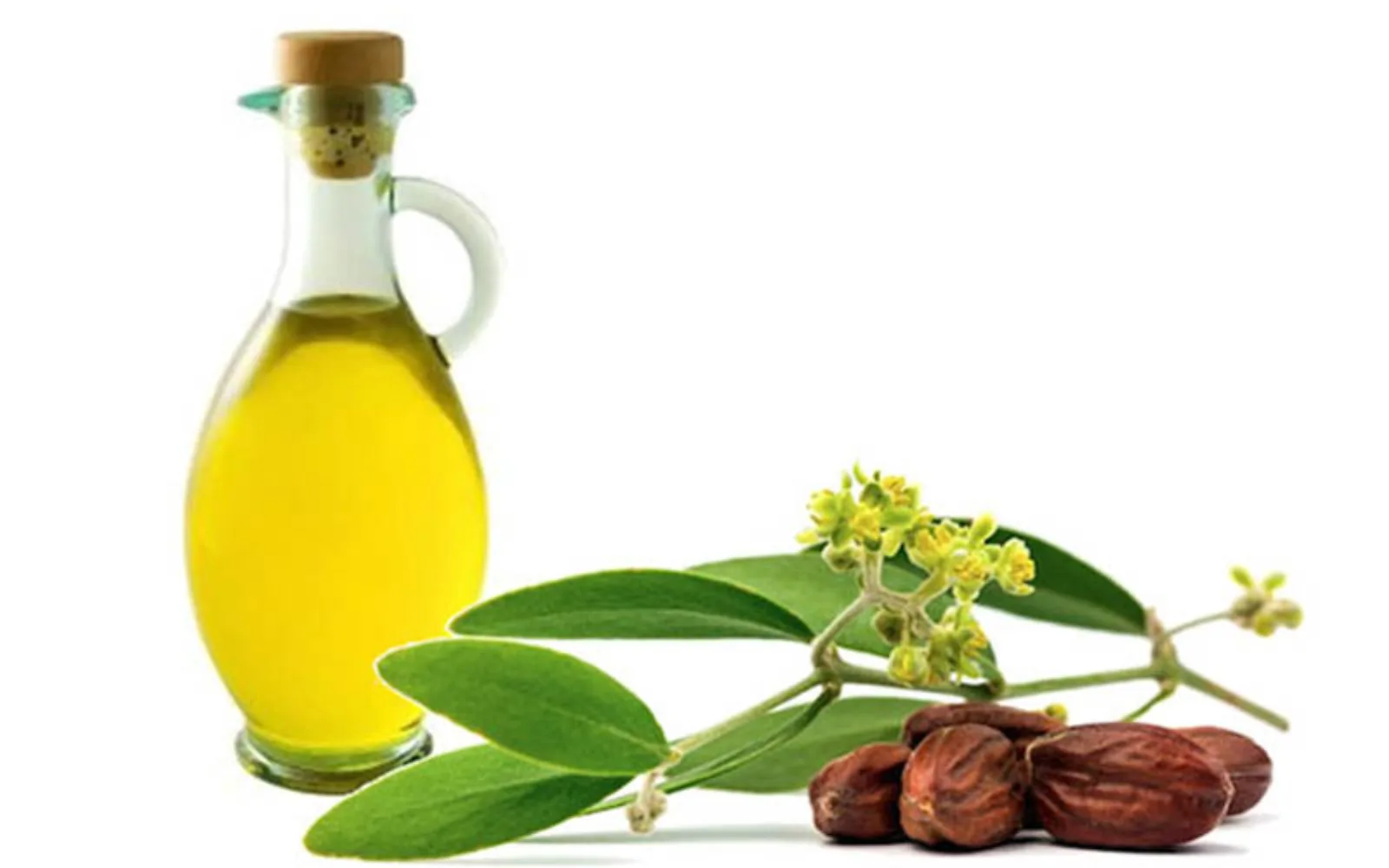 روغن جوجوبا