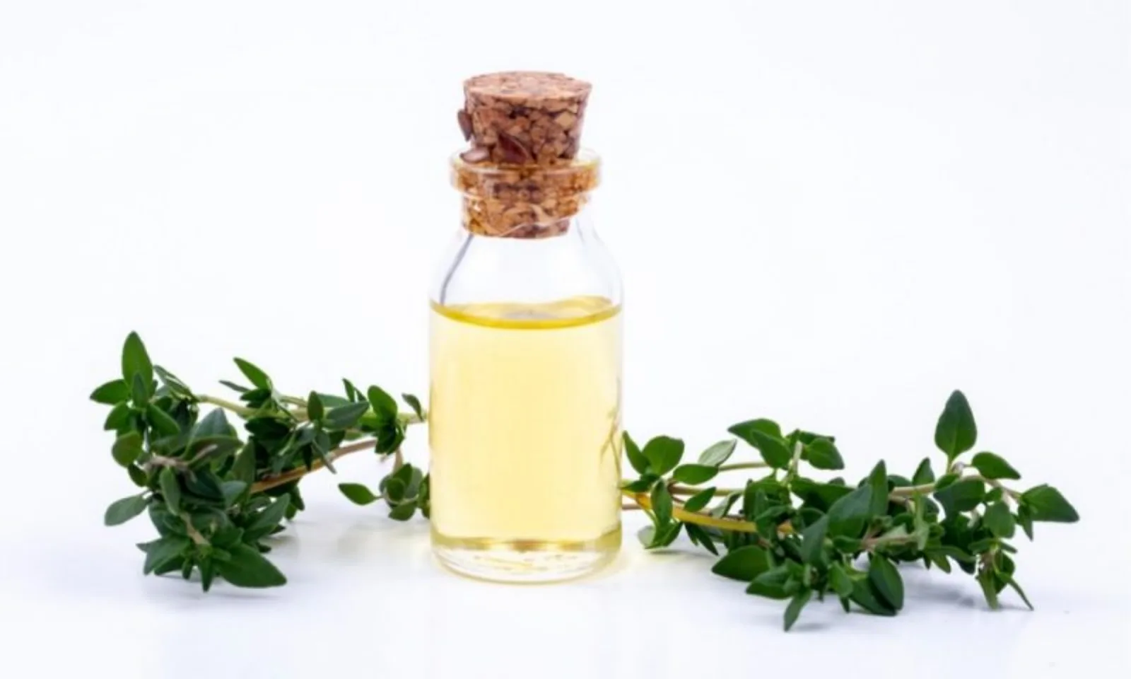 درمان عفونت با روغن آویشن