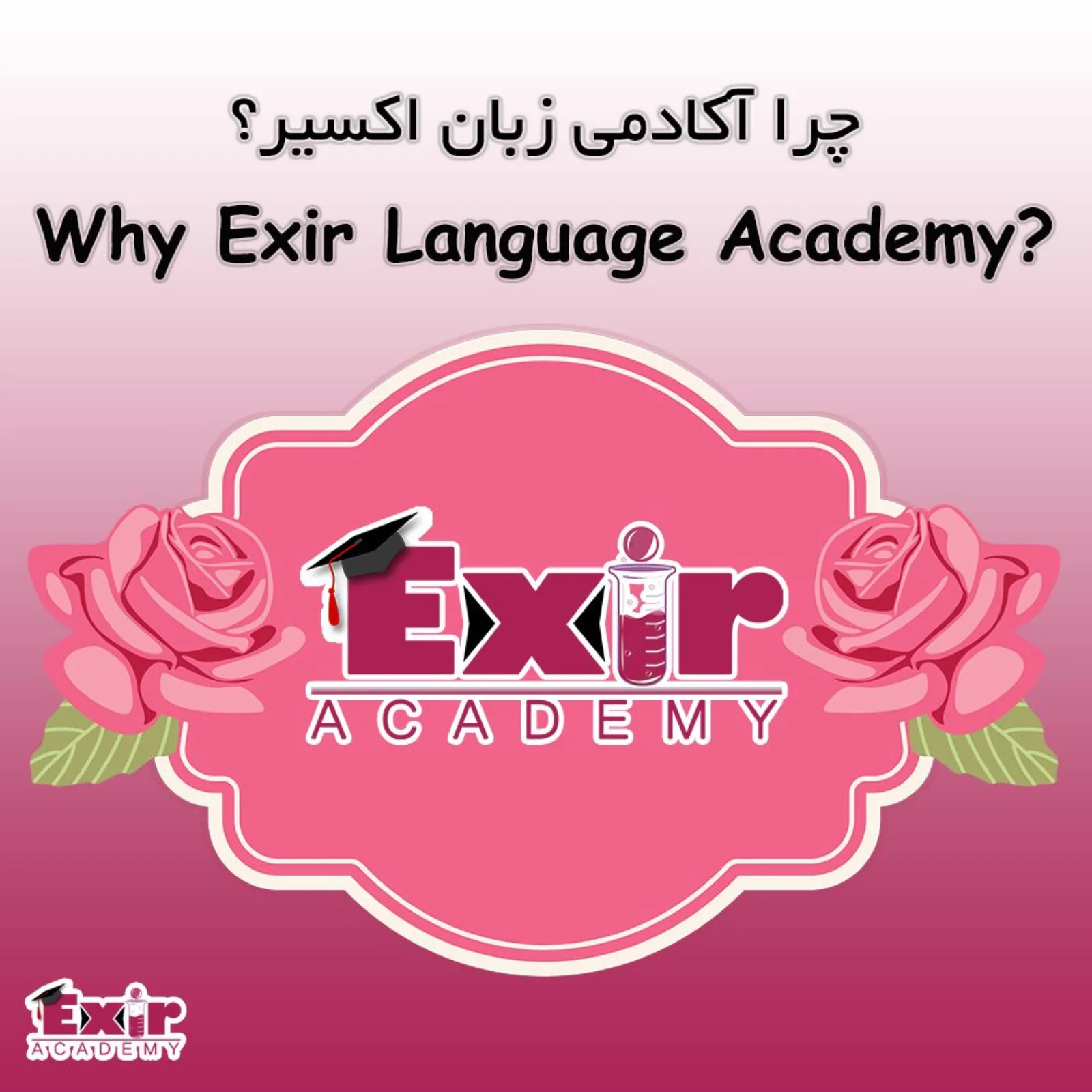 آکادمی زبان اکسی