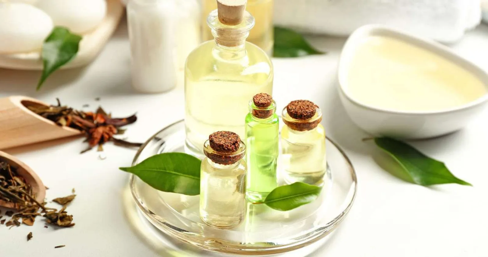 خاصیت ضد باکتری روغن درخت چای