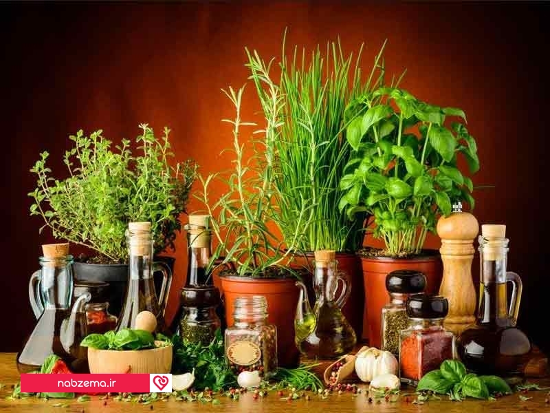 گیاه ضد استرس
