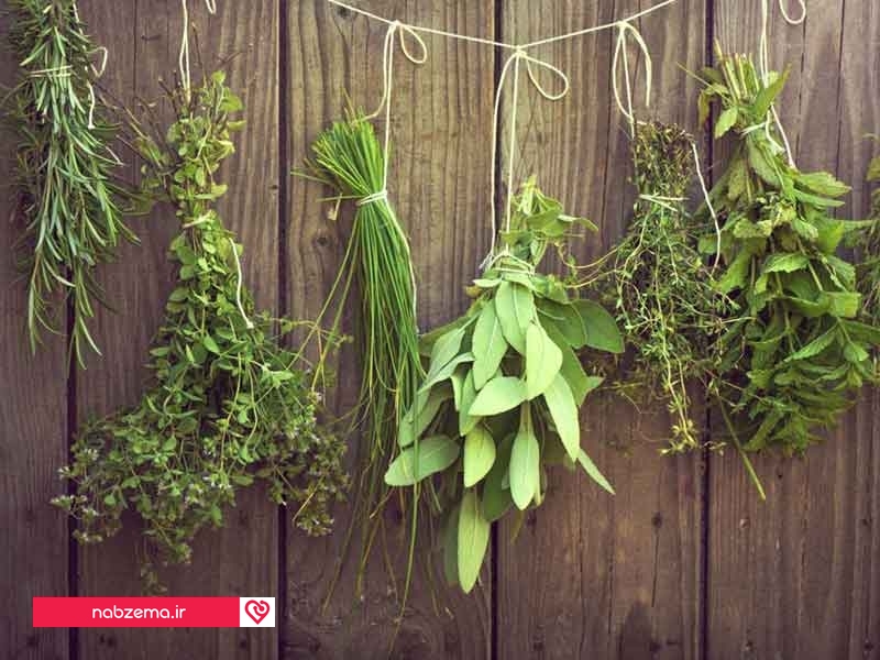 داروهای-گیاهی-چاق-کننده