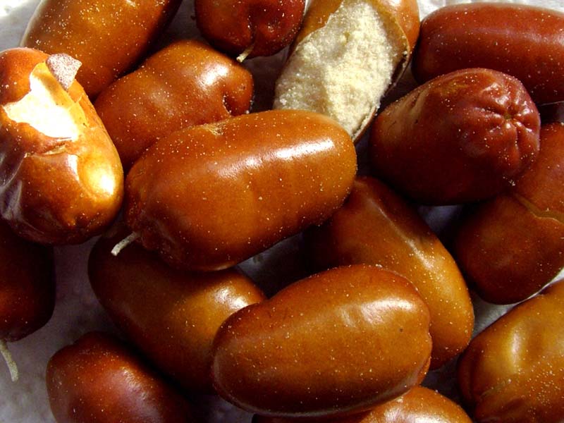 پودر سنجد