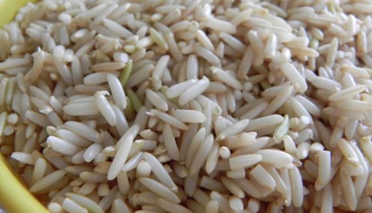 خواص جوانه برنج
