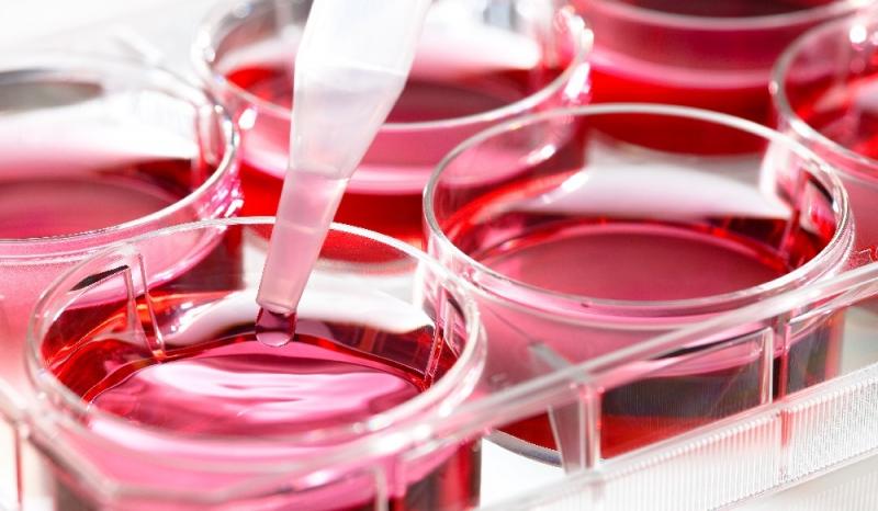 چگونه تست سرطان بدهیم؟