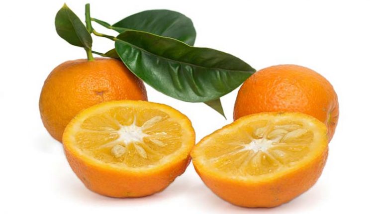 خواص نارنج